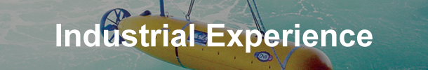 Industrial Experience